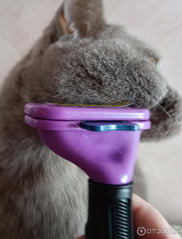 Отзыв о Фурминатор для кошек и собак FURminator | Сомнений тут не может ...
