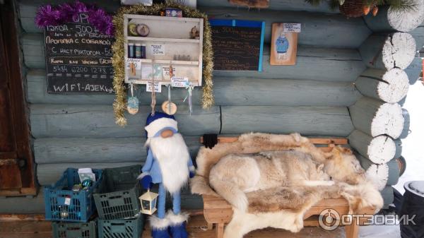 Дыхание севера ул есенина 11 село мальцево. Северный олень на севере. Дыхание севера татарстан. Улица стимула в дербенте. Дыхание севера мальцево.