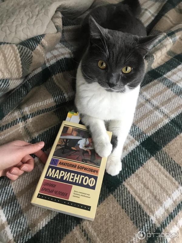 Кот Атос с книжкой