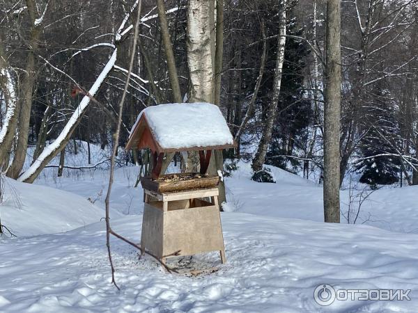 Источник преподобного Давида, Талеж