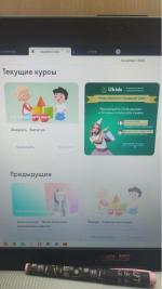 Академия Ukids (Юкидс) - онлайн обучение гибким навыкам фото