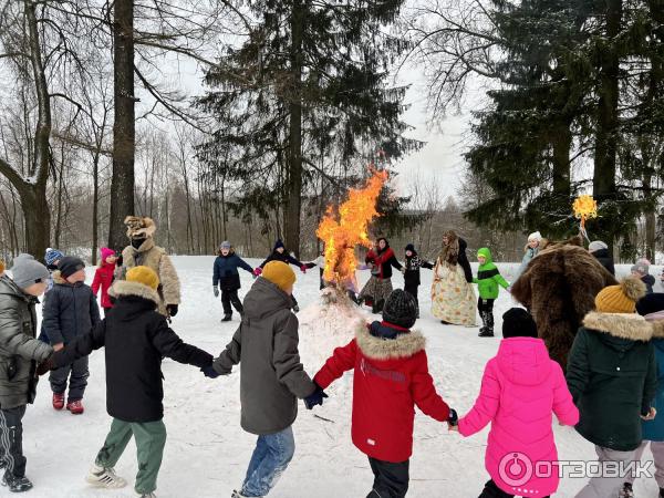 Музей-усадьба А. Н. Оленина Приютино (Россия, Всеволожск) фото