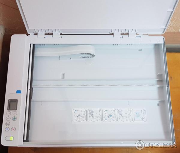 МФУ HP LaserJet M141w фото