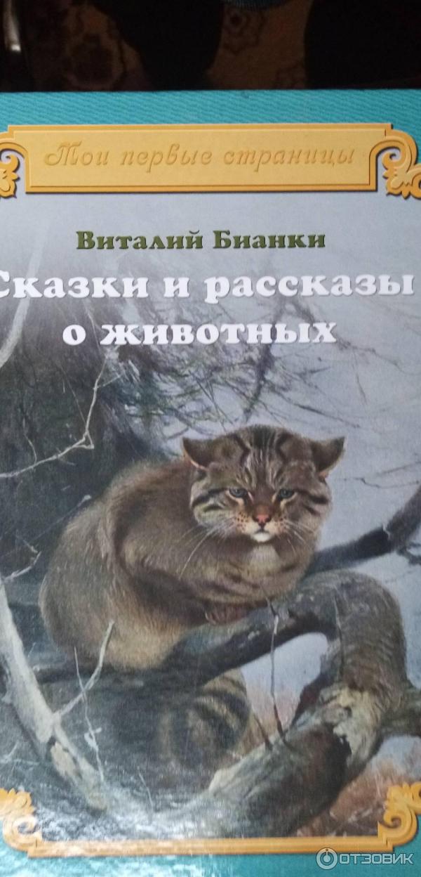 Книга Сказки и рассказы о животных - В. Бианки фото