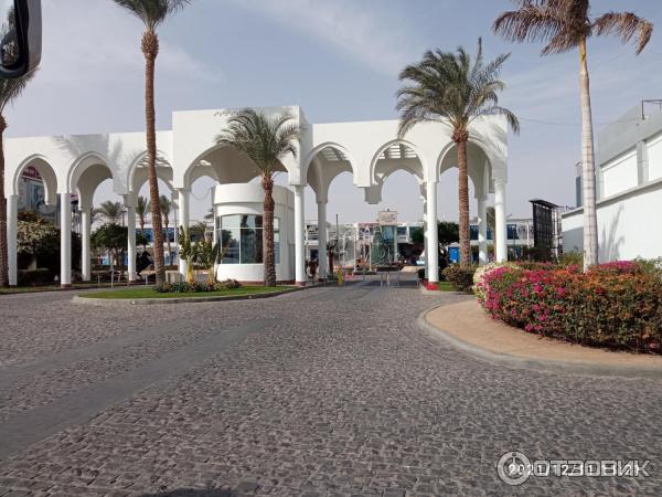 Отель Savoy Sharm El Sheikh 5* (Египет, Шарм-эль-Шейх) фото