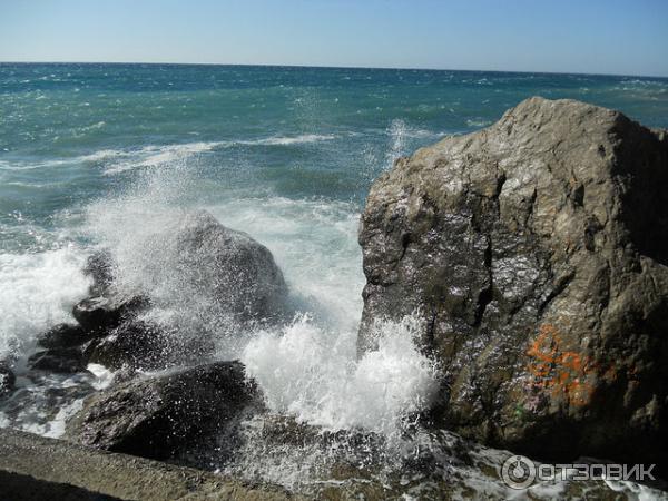 Пляж Лягушка (Крым, Алупка) фото