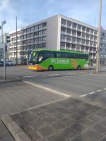 Flixbus Pinkbus  BlaBlaBus    - RusVerlagde