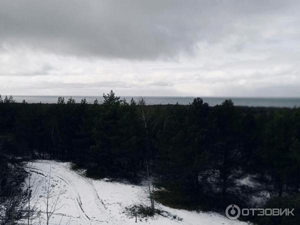 Национальный парк Куршская коса (Россия, Калининградская область) фото