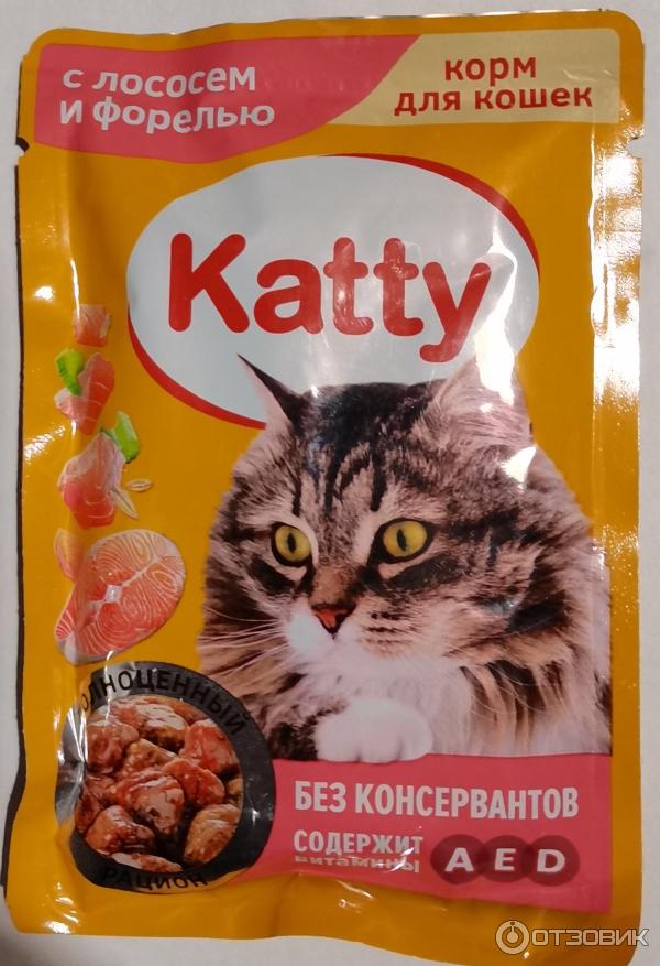 Влажный Корм Для Кошек Katty Купить