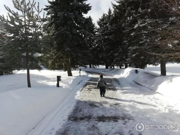 Загородный комплекс Тропикана Парк (Россия, д. Брехово) фото