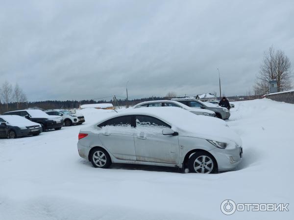 Загородный комплекс Тропикана Парк (Россия, д. Брехово) фото