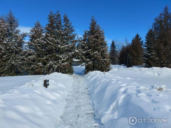 Загородный комплекс Тропикана Парк (Россия, д. Брехово) фото