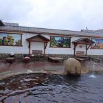 Термальные источники "Гедуко" (Россия, Баксан) фото