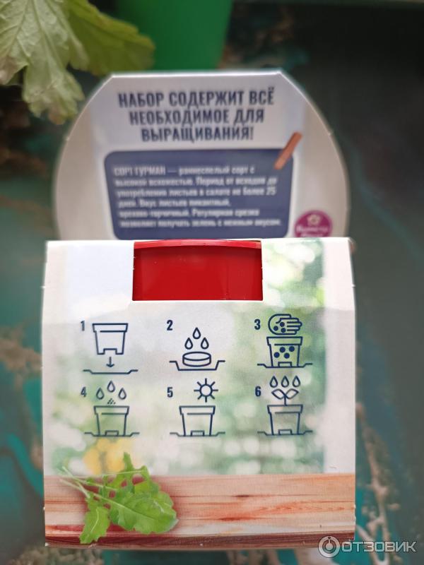 Отзыв о Набор для выращивания АрганиК "Вырасти меня!" | Выращиваем ...