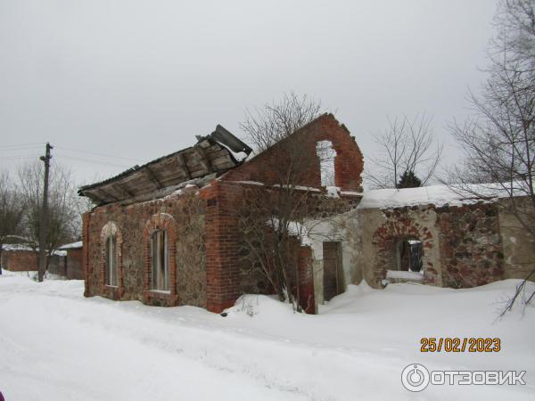 Усадьба баронов Врангелей в Торосово (Россия, Ленинградская область) фото