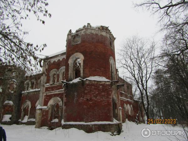 Усадьба баронов Врангелей в Торосово (Россия, Ленинградская область) фото