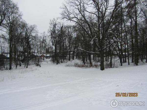 Усадьба баронов Врангелей в Торосово (Россия, Ленинградская область) фото