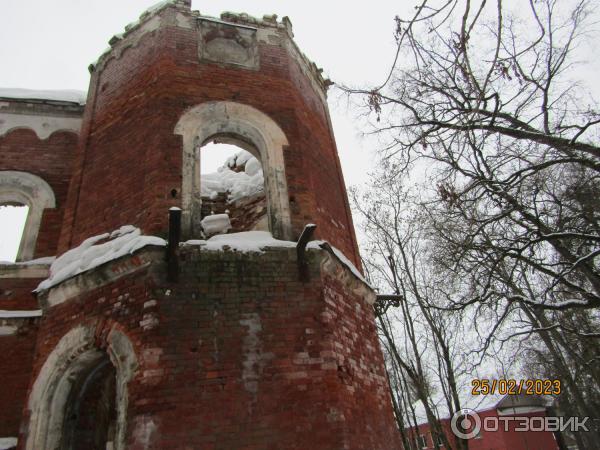 Усадьба баронов Врангелей в Торосово (Россия, Ленинградская область) фото