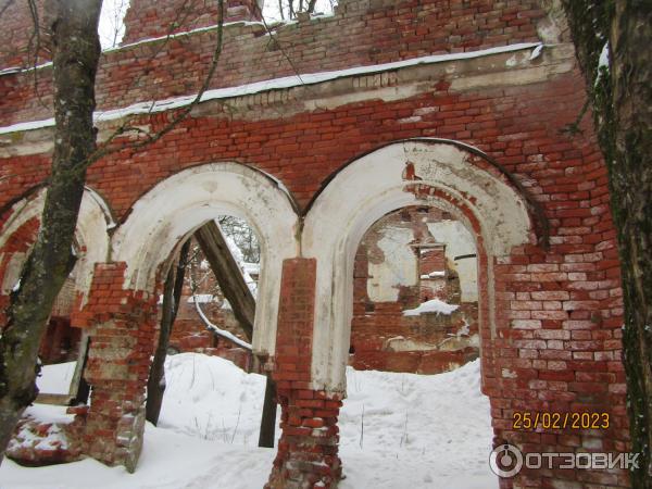 Усадьба баронов Врангелей в Торосово (Россия, Ленинградская область) фото