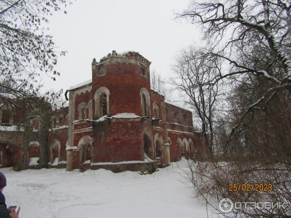 Усадьба баронов Врангелей в Торосово (Россия, Ленинградская область) фото