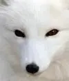 Аноним5273580