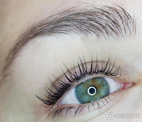 Ламинирование ресниц и бровей Si Lashes & Brows фото