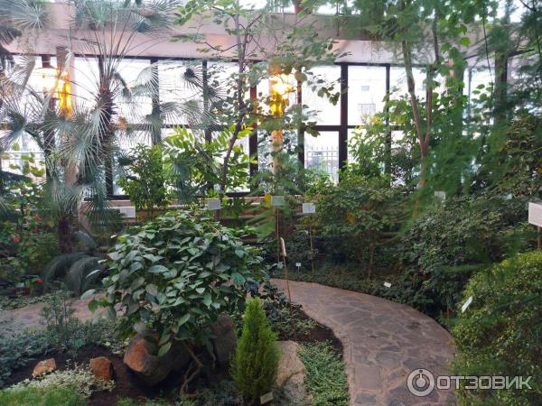 Зимний сад в Бресте: волшебство природы и архитектуры