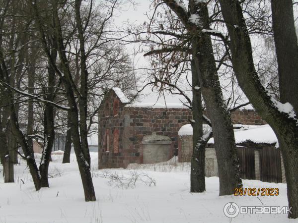 Экскурсия Ингерманландская глушь (Россия, Ленинградская область) фото