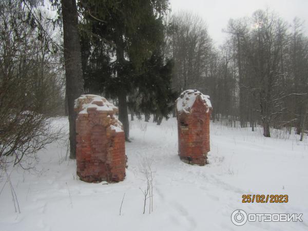 Экскурсия Ингерманландская глушь (Россия, Ленинградская область) фото