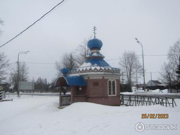 Экскурсия Ингерманландская глушь (Россия, Ленинградская область) фото