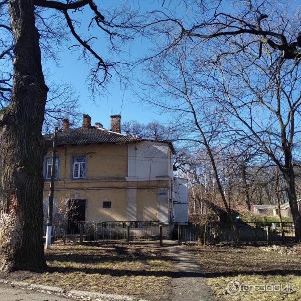 Порно видео спермы және сноты бар қатты минет