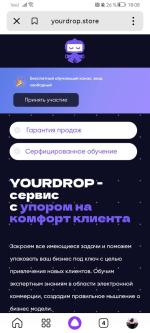 Yourdrop.store - авторский курс по дропшиппингу фото