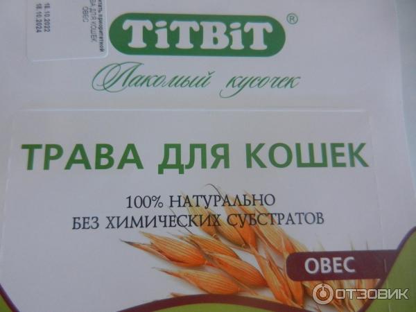 Трава для кошек TITBIT фото