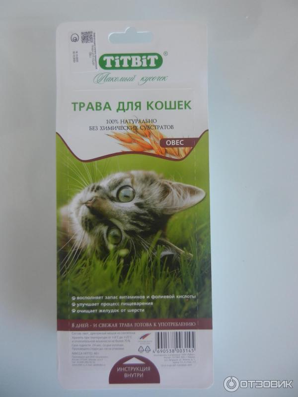 Трава для кошек TITBIT фото