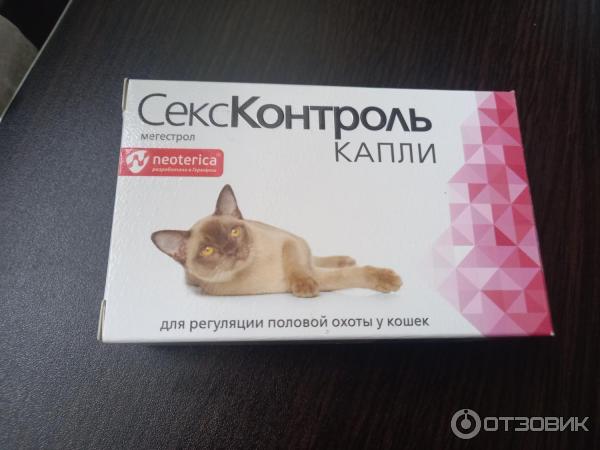 Секс Контроль Капли Для Котов Сколько Каплей Секс Контроль Капли Для Котов Сколько Каплей