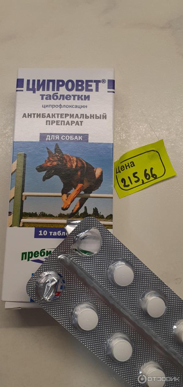 Ципровет таблетки для кошек