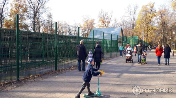 Парк лесоводов Башкортостана (Россия, Уфа) фото