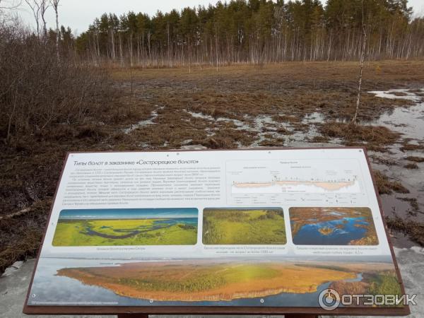 Экологическая тропа Сестрорецкое болото (Россия, Ленинградская область) фото