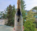 Вино игристое белое брют Cava Jaume Serra фото