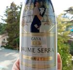Вино игристое белое брют Cava Jaume Serra фото