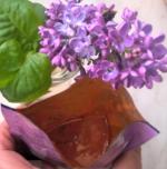 Основа для приготовления тайского супа Том Ям Sen Soy фото