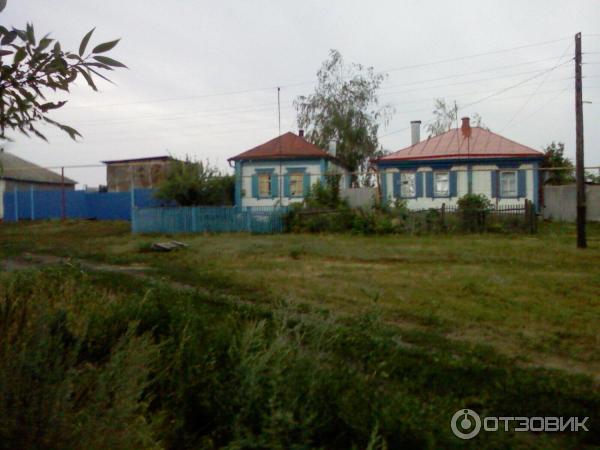Погода липовка воронежская. Село Липовка