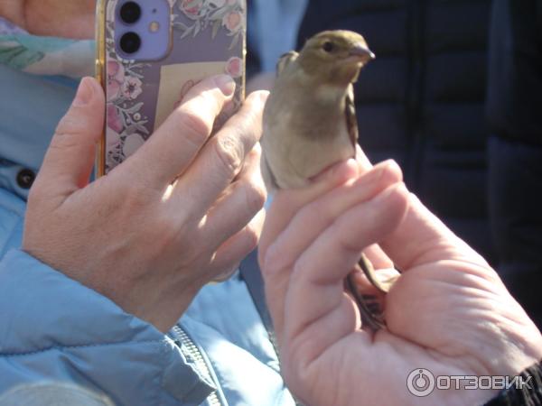 Экскурсия на Куршскую косу с турфирмой Юнона