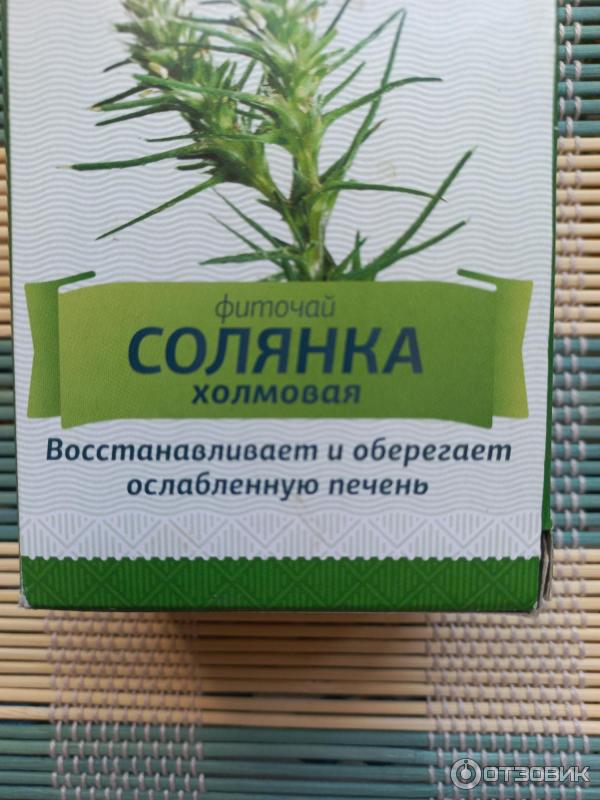 Солянка холмовая natural. Растение солянка холмовая. Солянка холмовая Камелия. Солянка холмовая препараты. Солянка холмовая аналог.