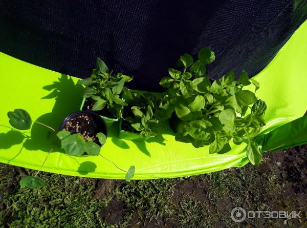 Отзыв о Грунт для рассады "Родная Земля" | Отличный грунт. Буду ...