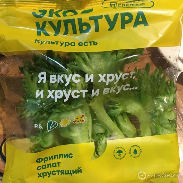 Отзыв о Салат Экокультура "Фриллис" хрустящий | Пакет свежего молодого ...
