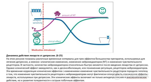 Общая схема как это работает в разрезе 3 составляющих (настроение, нейромедиаторы, рецепторы)