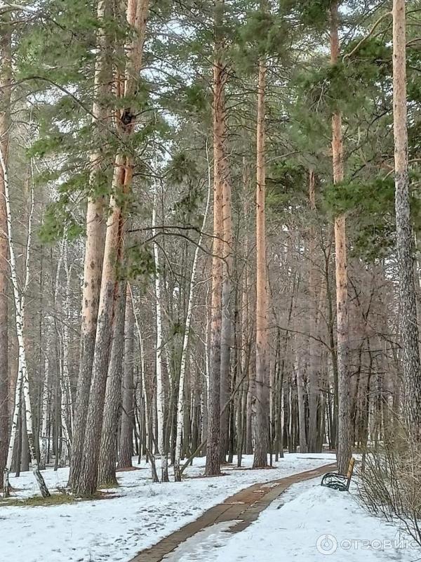 Санаторий-профилакторий Ромашкино (Россия, Татарстан) фото