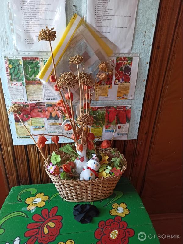 Музей Дом природы (Россия, Козельс) к фото