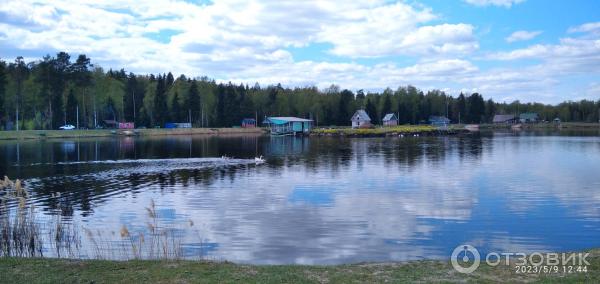 Рыбалка - отзыв о Платные пруды, Савватьево, Россия Foto 18